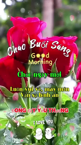 #ngaymoivuive #xu_huong #ngaymoivuive #cuocsongthuongngay 