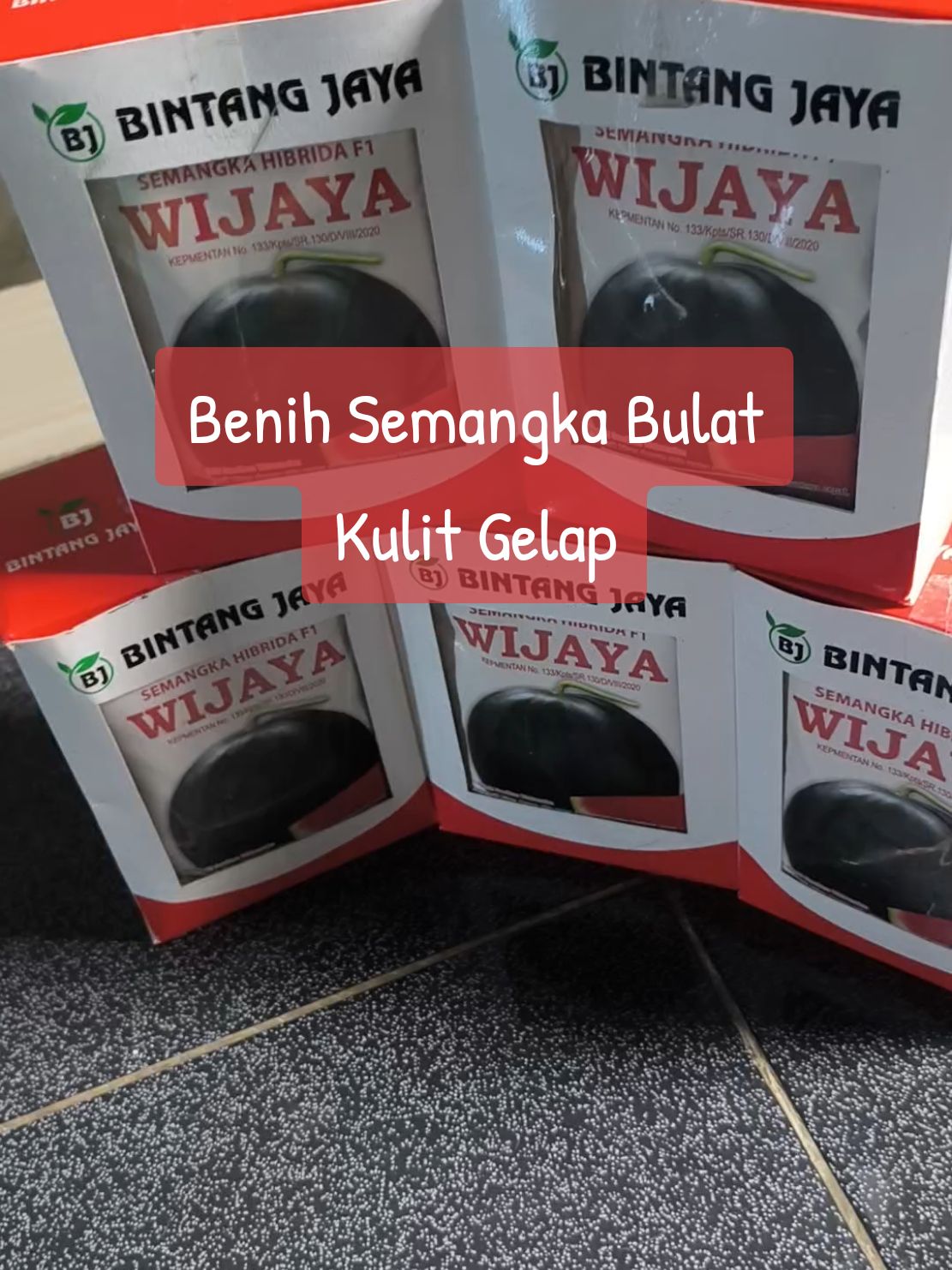 WIJAYA ISTIMEWA 💯💯 Benih Semangka Bulat Kulit Gelap Spesifikasi Ada Dikeranjang Kuning bolo ✔️