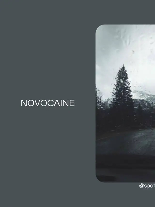 🌧️🎶🎧 #fyp #foryou #novocaine #shilohdynasty #onemoreshot #nostalgic #sad #vibe #nightcore #music #song #lyrics #lyrics_songs #lyricsmusic #lyricsedit #lyricsvideo 