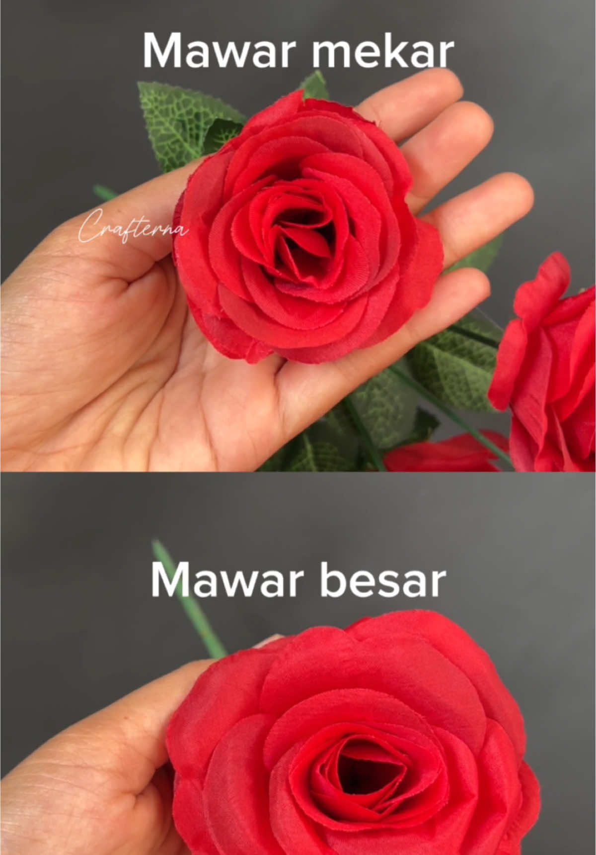 Bunga mawar tropis #mawartropis #bungamawar #bungaartificial #bungamurah 