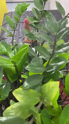 khi cô đơn #xuhuong #codon #tamtrangbuon #phunu #fa #dexuat #gioitre #xuhuong #trending #viral