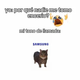 oia oia jajaja @Oia Oia Cat  #oiagato #oiagato #oiagato #oiagato #fyp #michi #oiaoiaoia #oiaoiacat #oiagato #oiaoiacat 