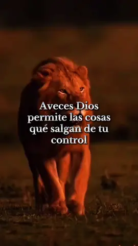 #latinosunidos🐺🦅 #lobo🐺 #aguila🦅 #🐺🦅 #❤️ 