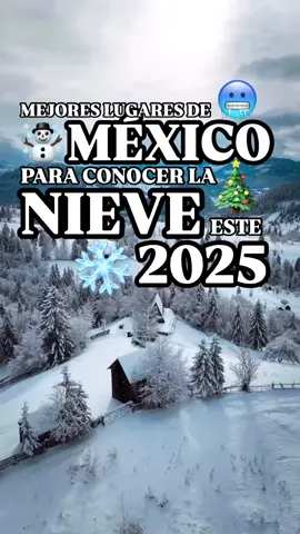#chepe #cozumel 