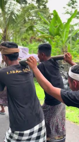 tradisi🔥#ngaben #bali #seru #fyp 