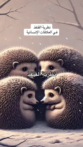 #قصة #نظرية_القنفذ #مسافة_أمان #شوبنهاور 