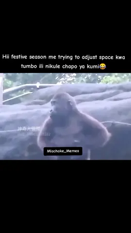 Nyongwa eey 😂😂😂#memestiktok #fyp #mlachake_official #kenyantiktok #trendingvideo #funny #goviral #relatable 