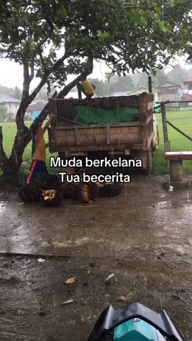 #petanisawitindonesia🇮🇩 