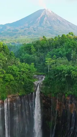 Selain menikmati kemegahan kawasan Candi Borobudur, Villa Borobudur Resort menawarkan kesempatan istimewa untuk menjelajahi salah satu air terjun terindah di dunia, Tumpak Sewu. Perjalanan ini dapat dipadukan dengan kunjungan ke Taman Nasional Bromo Tengger Semeru. Jangan ragu untuk menghubungi kami untuk informasi lebih lanjut tentang aktivitas dan wisata kami, serta penawaran khusus terkini kami. Kami tunggu kedatangan Anda! • • 📞 085100525520 📩 info@villaborobudur.com 📍 Villa Borobudur Dusun Pete • • #villaborobudurresort #tastejava #sinarhill #tumpaksewu #tumpaksewuwaterfall #tumpaksewulumajang #tumpaksewumalang #jatim #explorejatim #indonesia #pesonaindonesia #wonderfulindonesia #lumajanghits #borobudur #candiborobudur #borobudurtemple #borobudurtempleindonesia #expat #expatindonesia #digitalnomad #digitalnomadlife #backtotheroots 