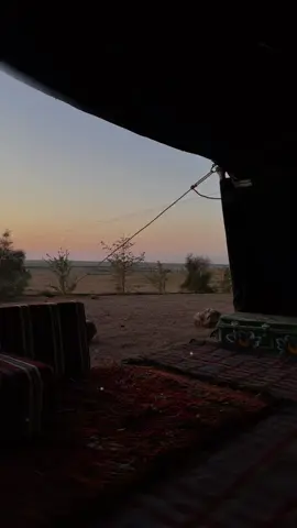 #CapCut لعنبوك اخطيت في حقي وانا اللي ما يشوف الا انت في حضرت زمانك..📸#منشن #تصويري #قوالب_نوره_الشمري #قوالب_كاب_كات #شيلات #شيلات_جديده #شيلات_فخمة❤️ #فلاح_المسردي ##explore #viral #fypシ゚ #viralvideo 