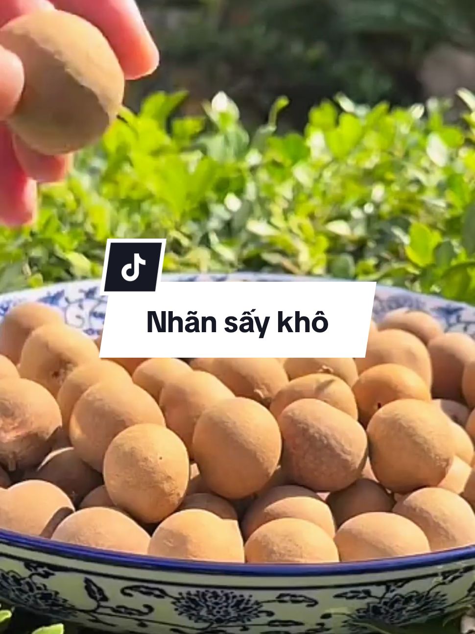 Nhãn sấy khô nguyên vỏ, siêu ngon, giữ được vị của quả tươi, bảo quản được lâu, ăn cực kỳ ngon luôn nha #doanvat #doansaydeo #nhansaykhonguyenqua #xuhuong 