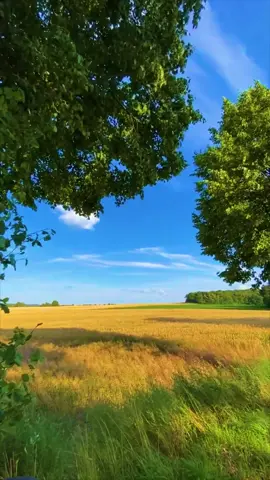 tg: frenzy_love, исходники и прочее выкладываю там.... #aesthetic #hopecore #vibe #darkaesthetic #nature #naturephotography #blue #fyp #for #foryou #frenzy_one 