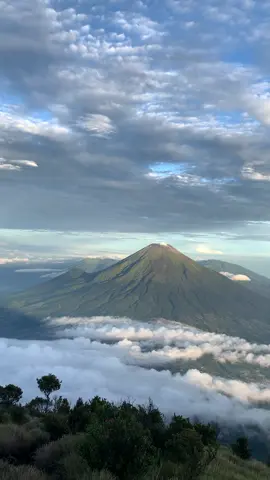 ga sia-sia bangun pagi buat liat pemandangan sebagus ini #gunungsumbing #sumbingmountain #foryou 