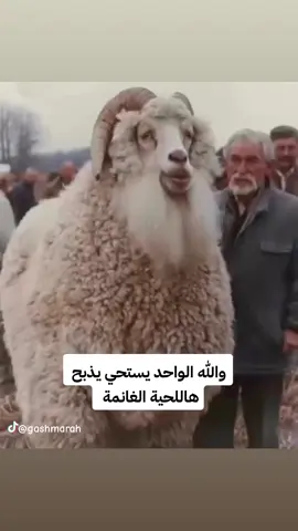 #onthisday #onthisday #onthisday #onthisday #حب #عشق #صداقة #اصدقاء #Love #friend #friends ##onthisday #fyp #ضحك #مضحك #فله #كوميديا #وناسة #كوميدي #funny #غشمرة #comedia #يضحك #مزح  #vibes #fyb