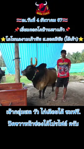#โหนดงามเก้าทัพยอดมีชัย #วัวชนคนสวย #วัวชนเงินล้าน #วัวชนเเดนใต้ #สนามกีฬาชนโคบ้านเขาแก้ว 