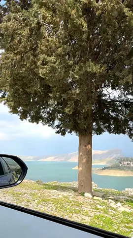 لا تسولف علينا من يسألون #محمد_عبد_الجبار 