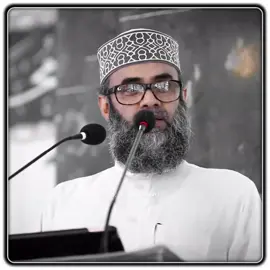 আল্লাহ আমাদের কথা গুলো বোঝার তৌফিক দান করো #গোলাম_সারোয়ার_সাঈদী #ইসলামিক_ভিডিও #ইসলাম_প্রচার #fyp #come_back_to_allah 