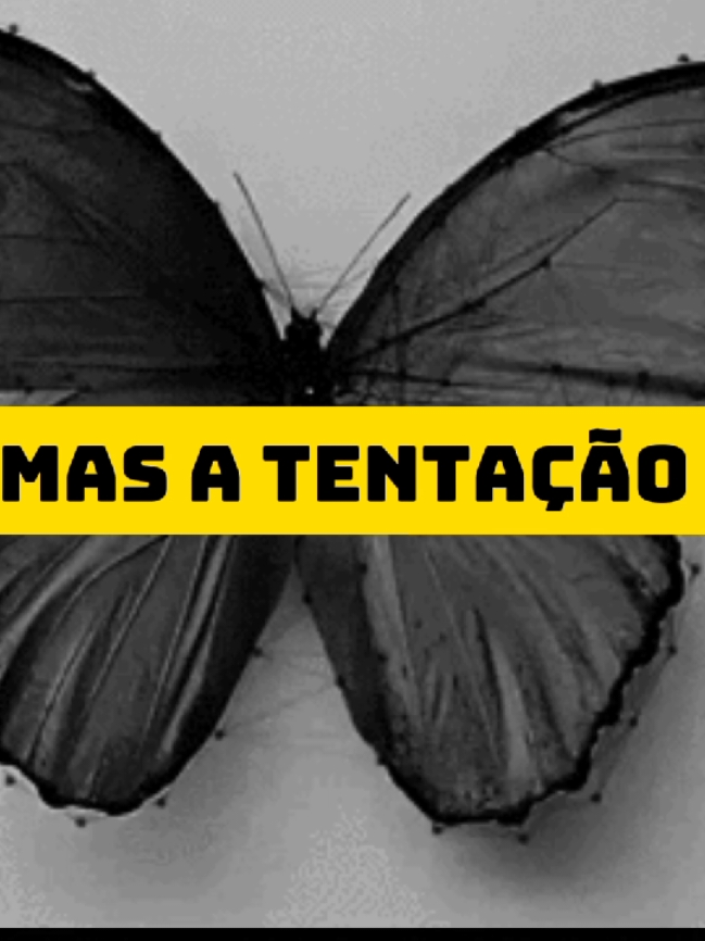 Os Nonatos - um caso por acaso  #forrodasantigas #tipografia #forro #fyp 