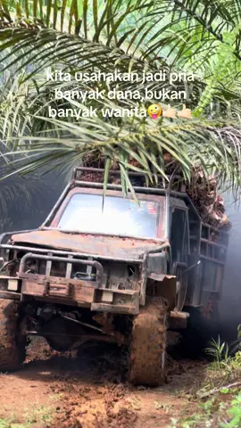 🤪#togesawit #sawitontiktok #petanimuda #bosmuda #sawitbapak #holingsawit #katakata #sawittriau #fyppppppppppppppppppppppp 