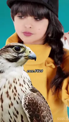 اليا بغينا الخصم مانجي غدر //ندعيه بااسمه لين يشدالانتباه