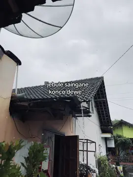 #jowocidro 