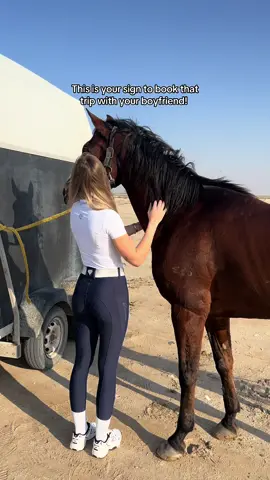 One of the greatest experiences 🫶🏻🐴 #fy #foryou #equestrian 