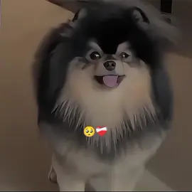 আজ সকালে exam দেওয়ার জন্য school এ গিয়েছিলাম, exam এর জন্য phone হাতেই নিতে পারি না, School এ যাওয়ার পর আমার একটা friend এসে আমাকে বললো যে yeontan নাকি আর নেই,,,, 😭😭😭 _________ বিশ্বাস করো কথাটা শোনার সাথে সাথে আমি ওখানেই কিছুক্ষনের জন্য স্তব্ধ হয়ে গিয়েছিলাম,চোখ দিয়ে পানি আসছিলো নাহ কিন্তু বুকটা ফেটে যাচ্ছিল.😭😭 ______ কিছুদিন যাবত আমি মোবাইল হাতে দিতে পারি না বলে,কোনো খবর পাচ্ছি নাহ,,আমার friend আমাকে দিলো খবর টা,, ____ তারপর tiktok এ এসে সব কিছু দেখি,army রা তোমরা ভালো করে Taehyung ar ig post টি পড়, ট্রান্সলেট এ ভুল হতে পারে  ______ আলহামদুলিল্লাহ yeontan এর কিছু হয় নি, Tae yeontan কে নিয়ে ঘুরতে গিয়েছিলো,,ভালো করে পড়ে দেখো সবাই  _____ একটা ট্রান্সলেট ভুল হওয়ার জন্য কত army কষ্ট পেলো❤️‍🩹😭🥺🥺😭😭 _____ #foryoupage #bdtiktokofficial🇧🇩 #foryouuuuuuuuuuuuu #tiktokforyou #vairalvid #vairalvideo #fyp #vairalvideo @Jeon.sohi @💌🥂𝖎𝖙𝖘 𝖞𝖔𝖚𝖗 𝖇𝖇𝖟💌🥂 @🥂FICTIONAL WORLD🥂 @✿₰𝐅𝐅 𝐖𝐫𝐢𝐭𝐞𝐫₰✿ @পিচ্ছি🌸বেডার🌸বউ😉 @🇧🇩방탄소년단 연인 루히 🇰🇷 💜🫰 @AV QUEEN OF TAE..... ♡♛ 