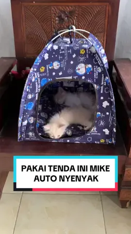 Tenda kesukaan mike harganya lagi promo guys. #tendakucing #tendaanabul #tenda 