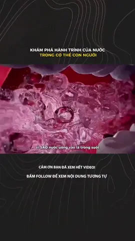 KHÁM PHÁ HÀNH TRÌNH CỦA NƯỚC TRONG CƠ THỂ CON NGƯỜI #LearnOnTikTok #xuhuongtiktok #khoahoc 