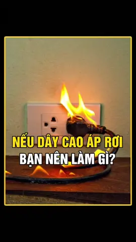 TẠI SAO CHÚNG TA KHÔNG ĐƯỢC CHẠY KHI GẶP ĐƯỜNG DÂY CAO ÁP RƠI?  #kienthuc #khoahoc #khampha #kienthucthuvi #socolive 