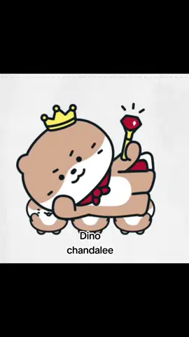 MINITEEN #scoups #jeonghan #joshua #jun #hoshi #wonwoo #woozi #the8 #mingyu #dk #seungkwan #vernon #dino #leechan #seventeen #seventeen17_official #svt #carat #svtcarat #sebong #miniteen #seventeenminiteen #foryoupage #fyp #fypシ 