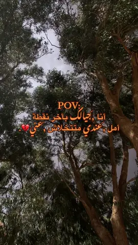 #القبه #درناويهه #تصويري📸 #درنة_طرابلس_بنغازي_البيضاء_المرج_طبرق #درنه_طبرق_مصر_ليبيا_بنغازي_طرابلس_جزائر #درناوية #ليبيا_طرابلس_مصر_تونس_المغرب_الخليج 