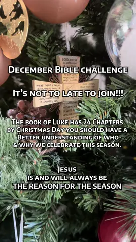 It’s not to late to join! Catch up on the missed days and move forward! Let’s explore the story of Jesus together! #biblechallenge #christiantiktok #biblestudy #bibletok #fyp 