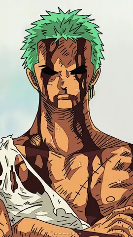 Zoro 🔥 #onepiece #onepieceedit #luffy #zoro #sanji #fyp #hamnime 