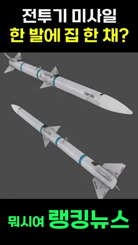 전투기 미사일 한 발에 집 한 채-