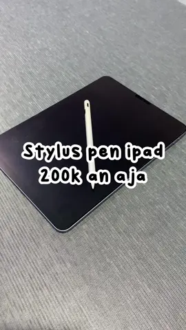 Stylus pen ipad #LDY #styluspen #stylus #foripad #palmrejection #scribble 