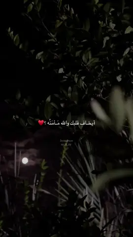 #CapCut  #باسم_الكربلائي_خادم_لن_يتكرر  #بيتي_حديقتي_المتواضعه #اكسبلورexplore #أيخـاف قلبك والله مَـأمَنُه ؟♥️