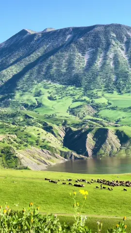 #نەوڕۆڵی  #كەوتە 