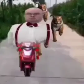 2 версия #хзчеписать #tiktok #fyp #trending #комфорт #cristmas🎄 #новыйгод #мем #meme #алежаобухов #олежаобухов #шагзашагом #годзагодом 
