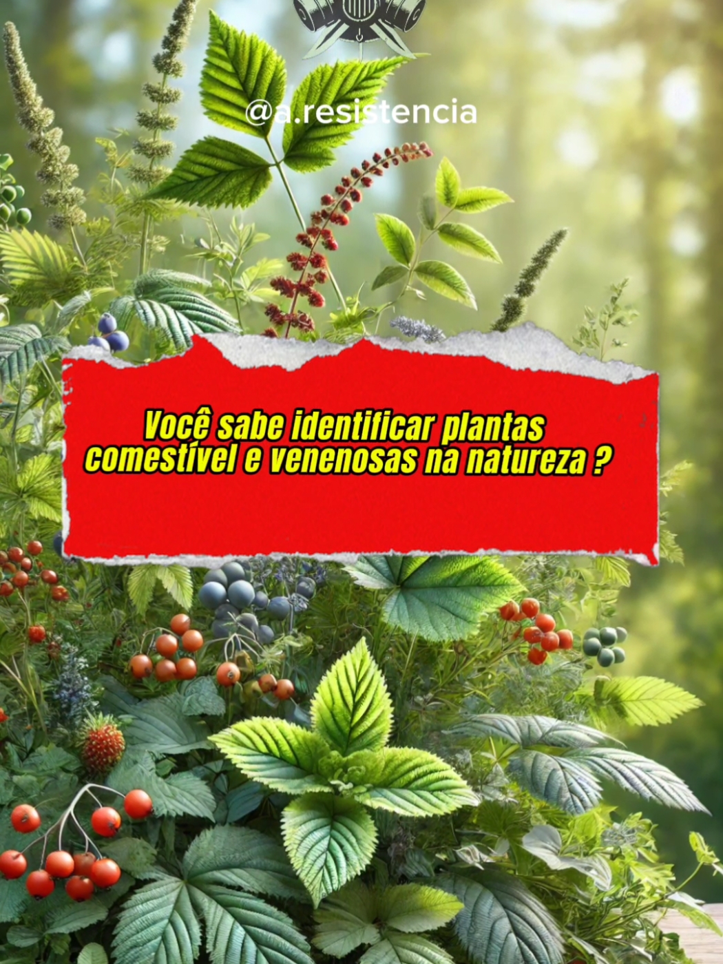 Você sabe identificar plantas comestível?  #sobrevivencia ##bushcrafting #sobrevivencianaselva #bushcraftsurvival #camping #viralvideos #plantas #sobrivencialismo #comer #noticia 