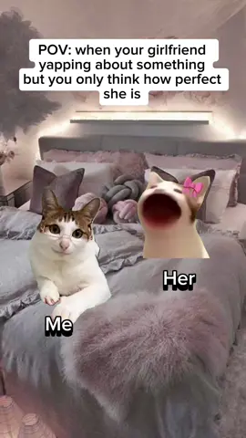 She is my love  #cats #couplememes #Relationship #cute #cattok #catmeme 
