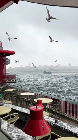 #تركيا #istanbul 