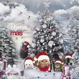 22 days before christmas !!! | #christmas #christmasedit #edit #cat #catedit #cats #kitten #kittensedit #sillycat #silly #22daysbeforechristmas #winter #funny #relatable #pesca #pescaep #viral #trending #trend #itsbeginningtolookalotlikechristmas #christmasseason #xmas #sillyedit #tupid #bermonths #december #fyp #aftereffects #eepy#cars| song - its beginning to look alot like christmas | project files and assets r in my payhip (i put a christmas sale!!) | check out my carrd plss, follow my other socials
