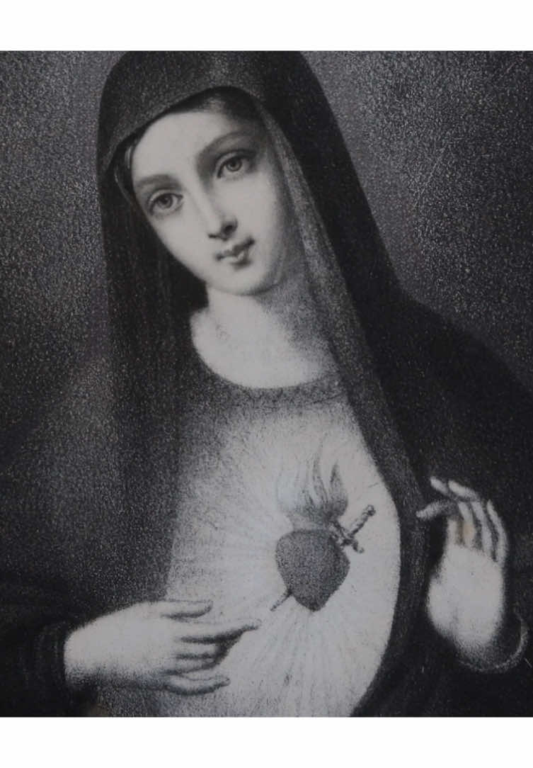 Memorare, O piissima Virgo Maria, non esse auditum a saeculo, quemquam ad tua currentem praesidia, tua implorantem auxilia, tua petentem suffragia, esse derelictum. Ego tali animatus confidentia, ad te, Virgo Virginum, Mater, curro, ad te venio, coram te gemens peccator assisto. Noli, Mater Verbi, verba mea despicere; sed audi propitia et exaudi. Amen. #catholicism #catholic #catholictiktok #catholicchurch #jesus #mary #pope #aquinas #jesuschrist #jesuslovesyou #jesusisking #god #god #holyspirit #fy #fyp #chaldean #fyppppppppppppppppppppppp #fyyyyyyyyyyyyyyyy #holymarymotherofgod #viral #catholicism #catholic #catholictiktok #catholicchurch #jesus #mary 