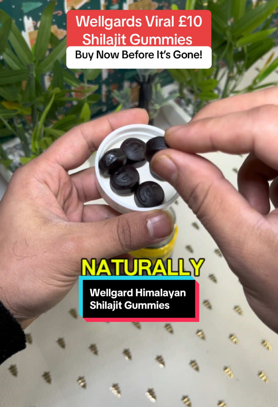 These Wellgard Himalayan Shilajit Gummies are suitable for everyone and tasty too #wellgard #shilajit #shilajitgummies #ashwagandha #tiktokmademebuyit 