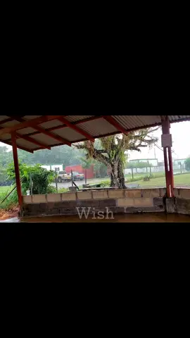 ❤️💫#fyp #fypp #fypシ゚viral🖤tiktok #foryoupage❤️❤️ #song #lyrics_songs #suriname @R I N E S H @👑༻Lyͥriͣcͫs_💯🥀༺👑 @ミ★ 𝘛𝘶𝘴𝘩𝘶𝘶𝘶♥️⚽️🕉 ★彡 @wien @S.G♥️ @Wini❤︎ 