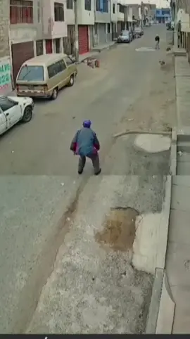 🔴EN LIMA: SUJETO SALVÓ A UN ANCIANO QUE ESTABA HACIENDO ATACADO POR DOS PERROS 🐕‍🦺🐕‍🦺EN LA VÍA PÚBLICA