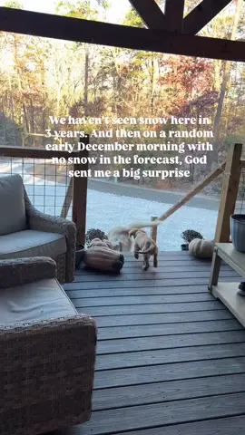 Happy surprise snow day! ☃️❄️ #snowday #snow #goldenretrievers 