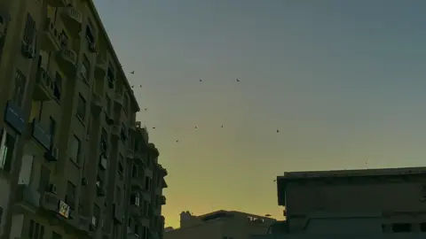 songs hits different when you’re sad #egypt #random #downtown 