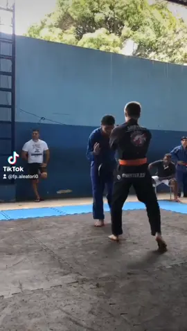 primeiro cinturão #bjj #jiujitsu 